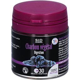 Charbon végétal