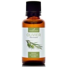Olivier Macérat De Bourgeons Bio 30ml