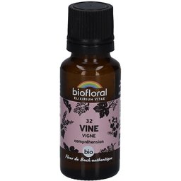 Vine - Vigne - Bio