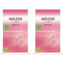 Tisane Allaitement Bio Fruits rouges