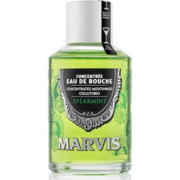 Concentrée Eau de Bouche Menthe verte