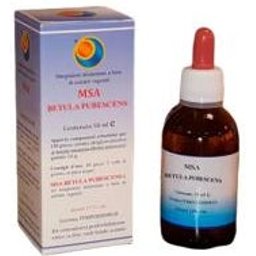 Msa Betula Pubencens 50ml