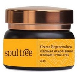 Crème pour le visage Curcuma Amla Bhrami 60g