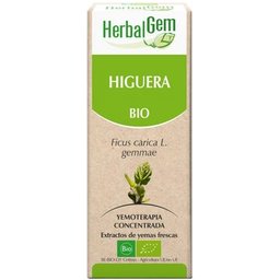 Higuera 15 ml