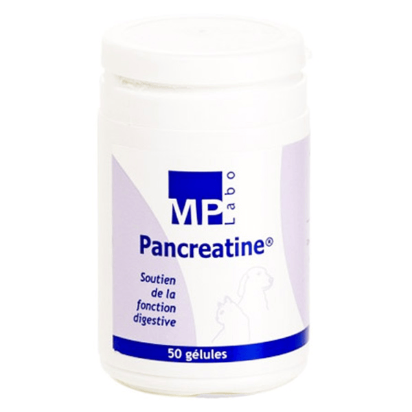 Pancréatine 50 gélules