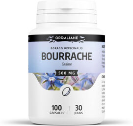 Bourrache 500 mg - capsules