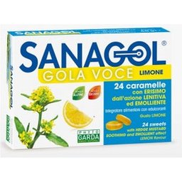 Sanagol Gola Voice S/Z Lim24Car