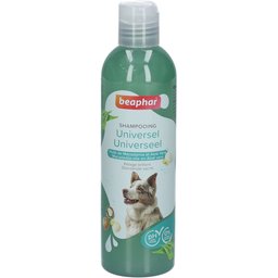 Shampooing Chien Universel