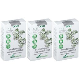 Soria Natural® 17-S Crataegus oxyacantha XXI Aubépine blanche