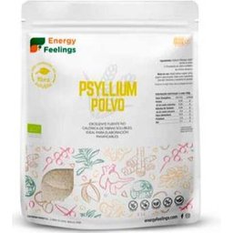 Psyllium Poudre Eco 500g