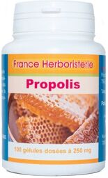 GELULES PROPOLIS gélules dosées à 250 mg