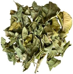 Tisane Oranger Bigarade feuille 100 GRS Citrus aurantium var amara