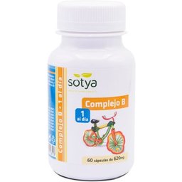 Complexe B quotidien 600 mg 60 capsules
