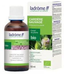 Xtrait de Plantes Fraîches Bio Cardère Sauvage 50 ml - Flacon 50 ml