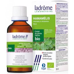 Extrait de plante fraîche Hamamélis Bio