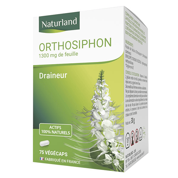 Orthosiphon 75 végécaps