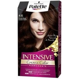 Palette intensive Kit de couleurs 4.6 brunâtre