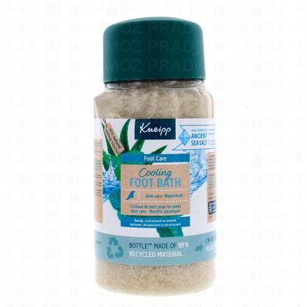 Foot Care Cooling - Cristaux de bains pour pieds 600g