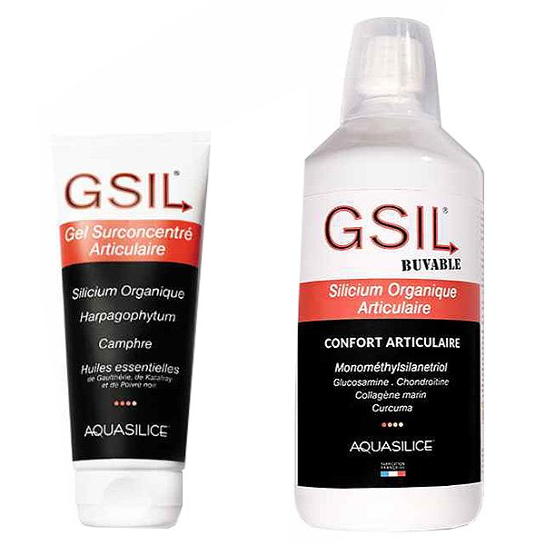 GSIL Routine Globale Articulations