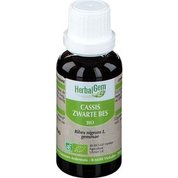 Macérat Concentré de Cassis Bio 30ml