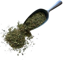 Tisane Figuier feuille coupée - Ficus carica