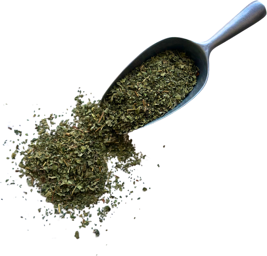 Tisane Figuier feuille coupée - Ficus carica