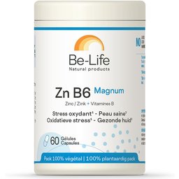 Zn-B6 Magnum