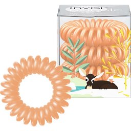 autour du monde Orange