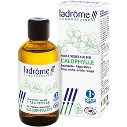 Huile Végétale BIO | Calophylle