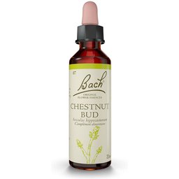 Fleurs de Bach® Original Chestnut Bud
