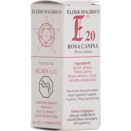 E20 Rose des chiens 10M