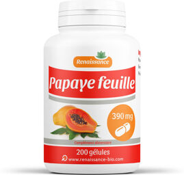 Papaye Feuille - 390 mg - 200 gélules