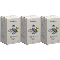 Bourrache