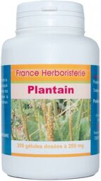 GELULES PLANTAIN 200 gélules dosées à 250 mg poudre pure.