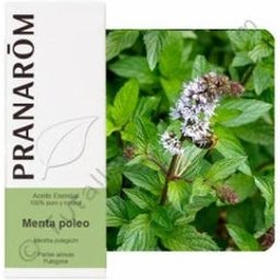 Pennyroyal Menthe 10ml Huile Essentielle