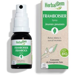 - Framboisier Bio - Complément Alimentaire  - Extrait De Bourgeon Frais - Pour Santé Féminine - 15 ml