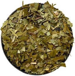 Tisane Maté vert feuille Ilex paraguayensis.