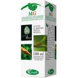 Macerado Glicérico de Castaño de Indias 100ml
