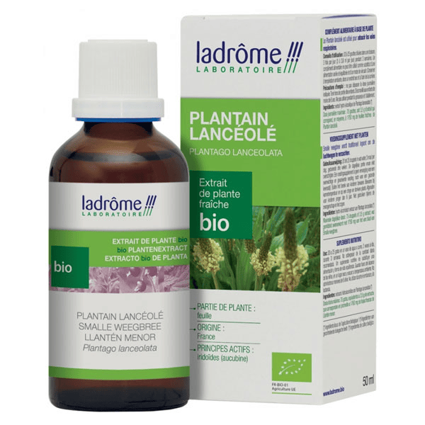 Extraits de Plantes Fraîches Plantain Lancéolé Bio 50ml