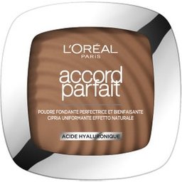 Paris Accord Parfait Polvo Hyaluronic Acid 8.5D 9g