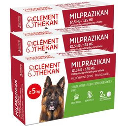 Clement Thekan Traitement Des Vers Plats Et Ronds Chien