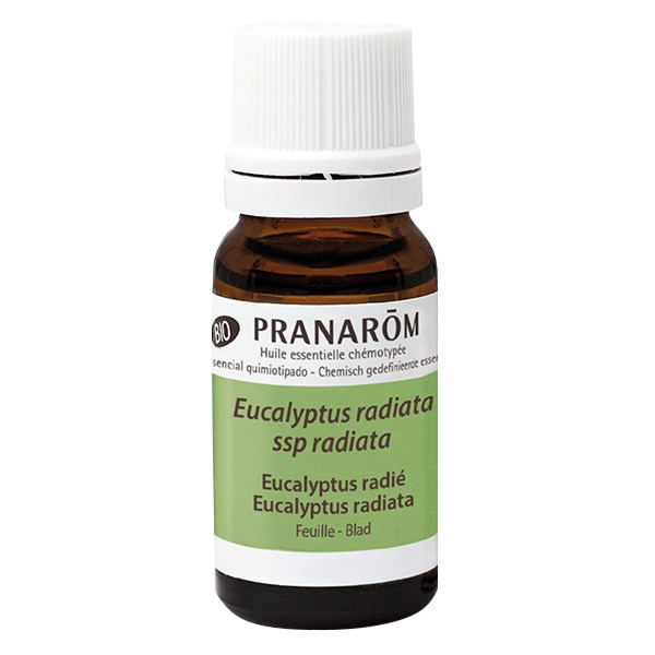 Huile Essentielle Bio Eucalyptus Radié 10ml
