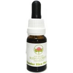 Australian Bush Flowers Slender Rice 15ml