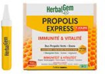 Monodoses Propolis Bio 7 Monodoses de 10 ml - Boîte 7 monodoses de 10 ml