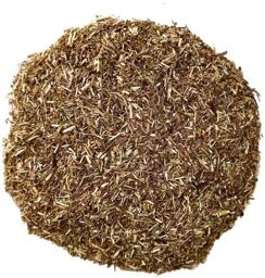 Tisane Aurône mâle plante 1 KILO Artemisia abrotanum.
