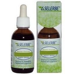 Vaccinium Vitis Idaea Macérat Glycérique 50ml