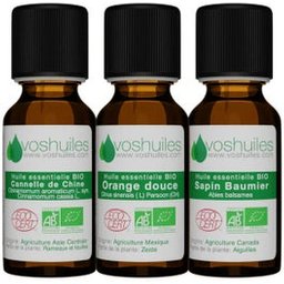 Kit Les 3 Huiles Essentielles Senteurs de Noël Bio