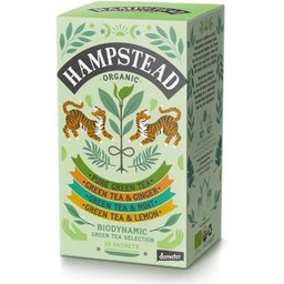 Organic Green Tea Selection 20 Sachets