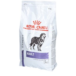 Adult Large Dogs