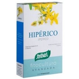 Les plantes de s'adaptent à l'Hypericum 40Caps